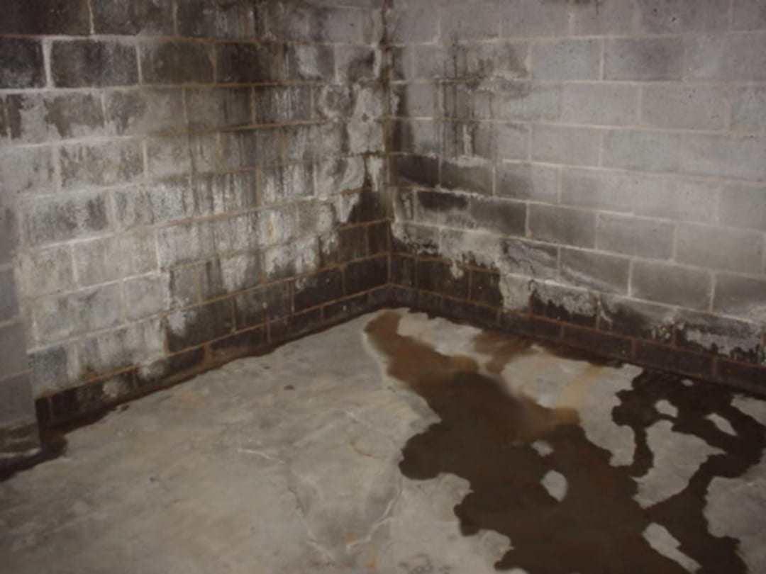Picture of moldy basement before Vulcan Waterproofing Services