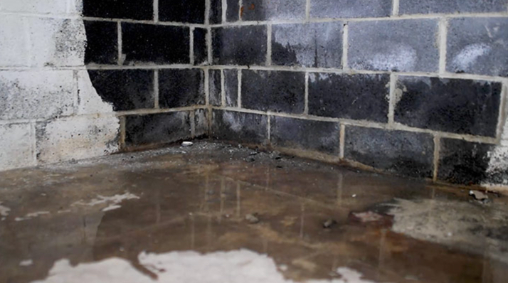 Basement Waterproofing