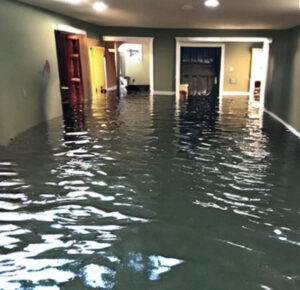 Basement Waterproofing