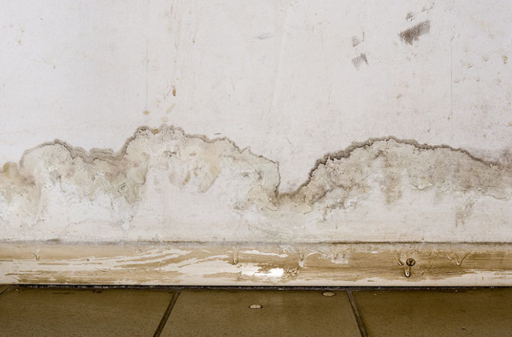 Transform Your Basement with Waterproofing: Say Goodbye to Dampness and Mold